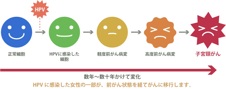 HPV感染と子宮頸がん